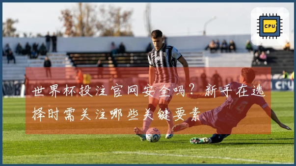 世界杯投注官网安全吗？新手在选择时需关注哪些关键要素