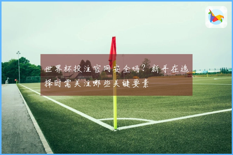 世界杯投注官网安全吗？新手在选择时需关注哪些关键要素